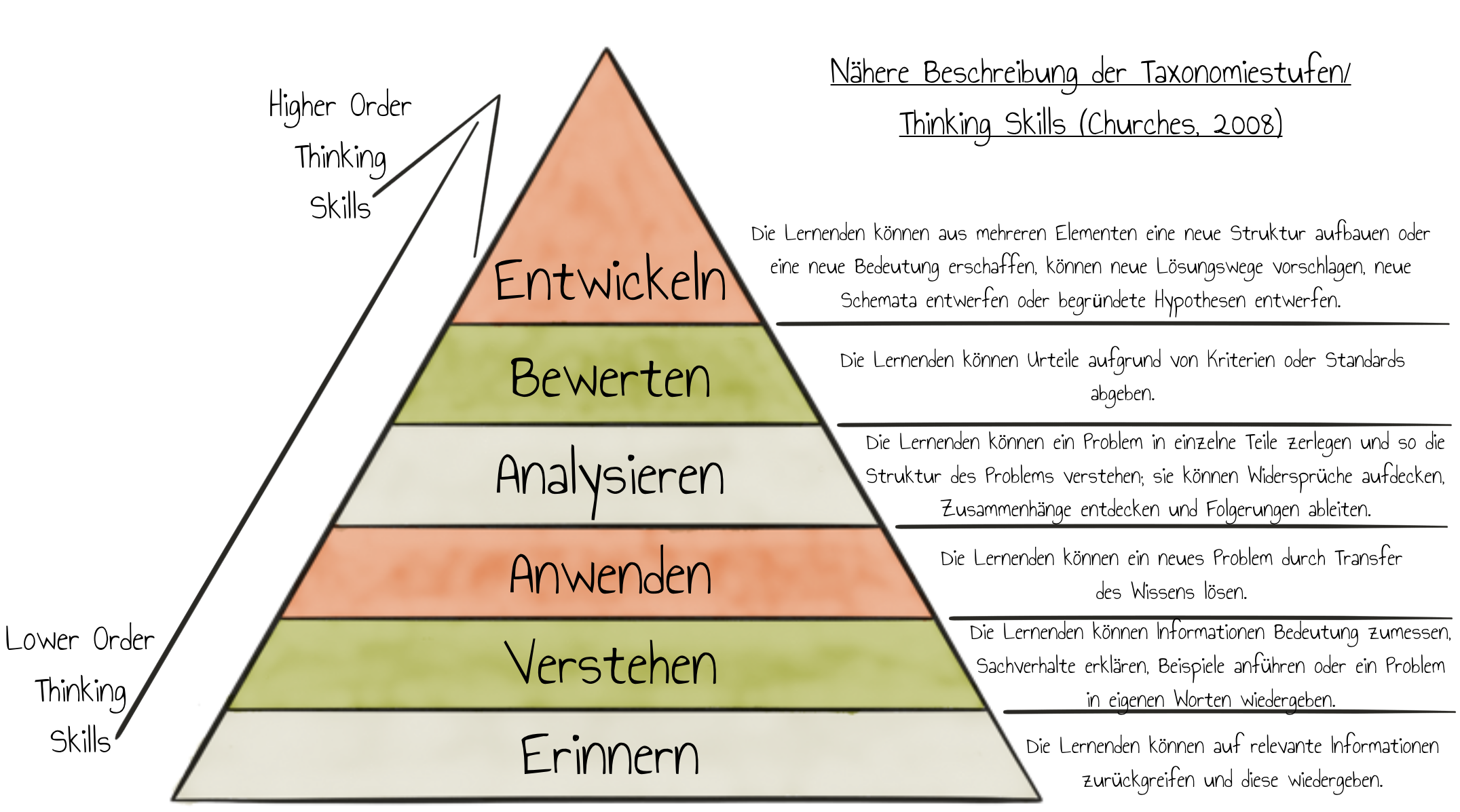 Taxonomiestufen