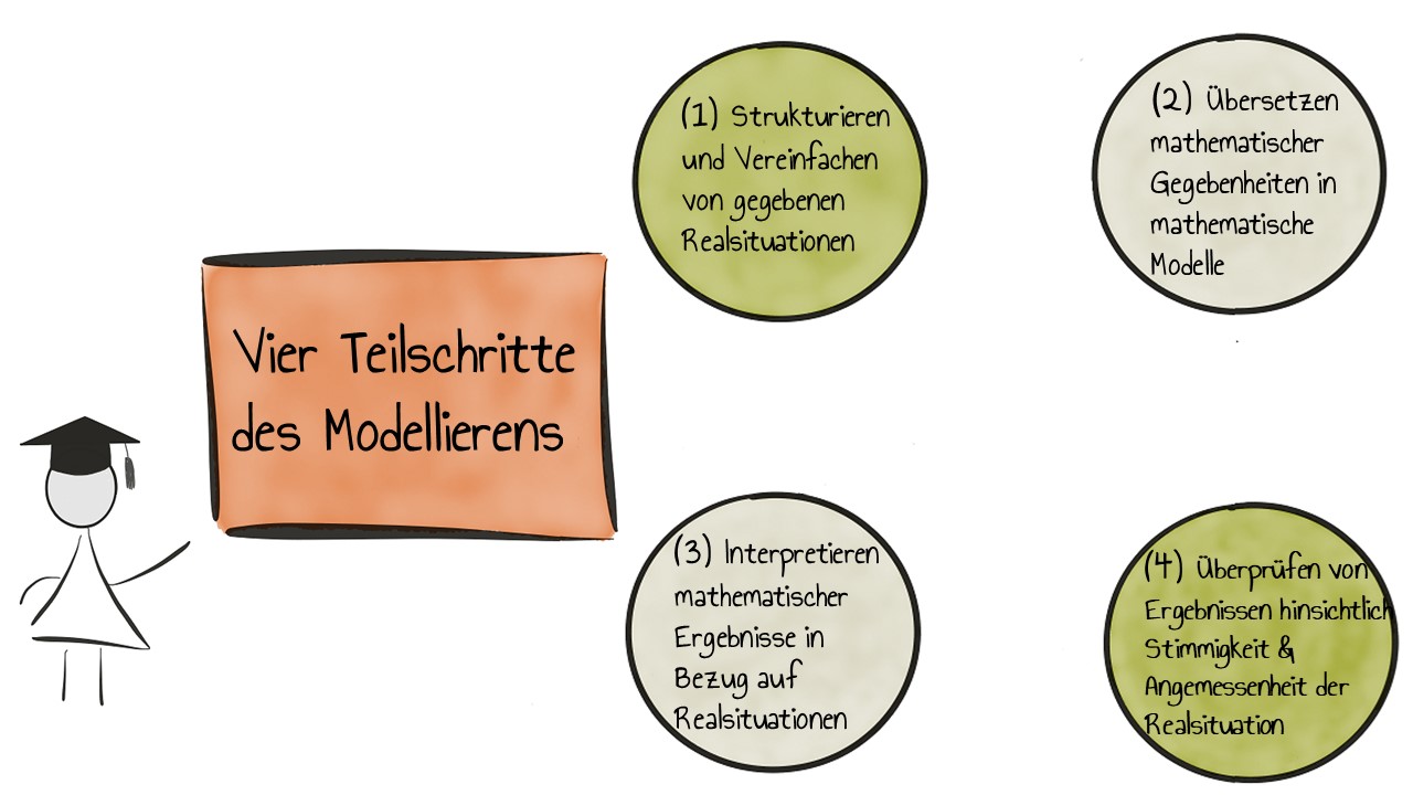 vier Teilschritte des Modellierens