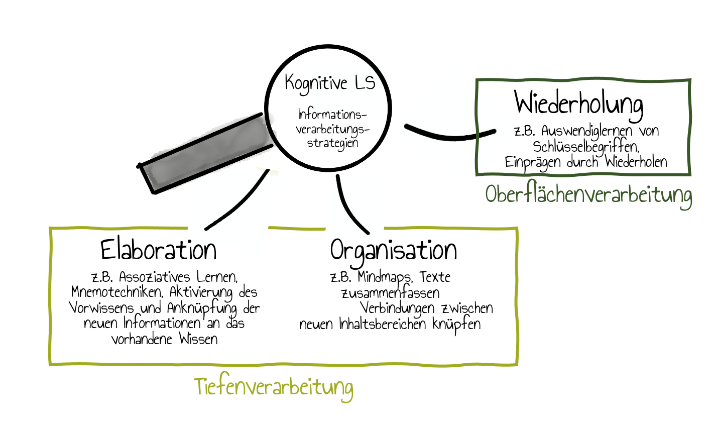 Elarobation, Organisation und Wiederholung