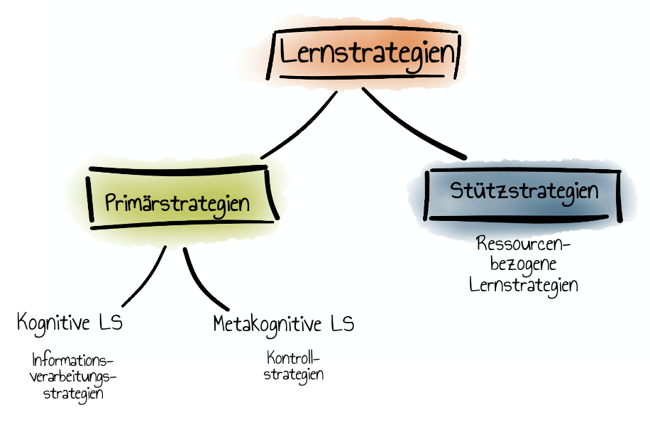 Taxonomie