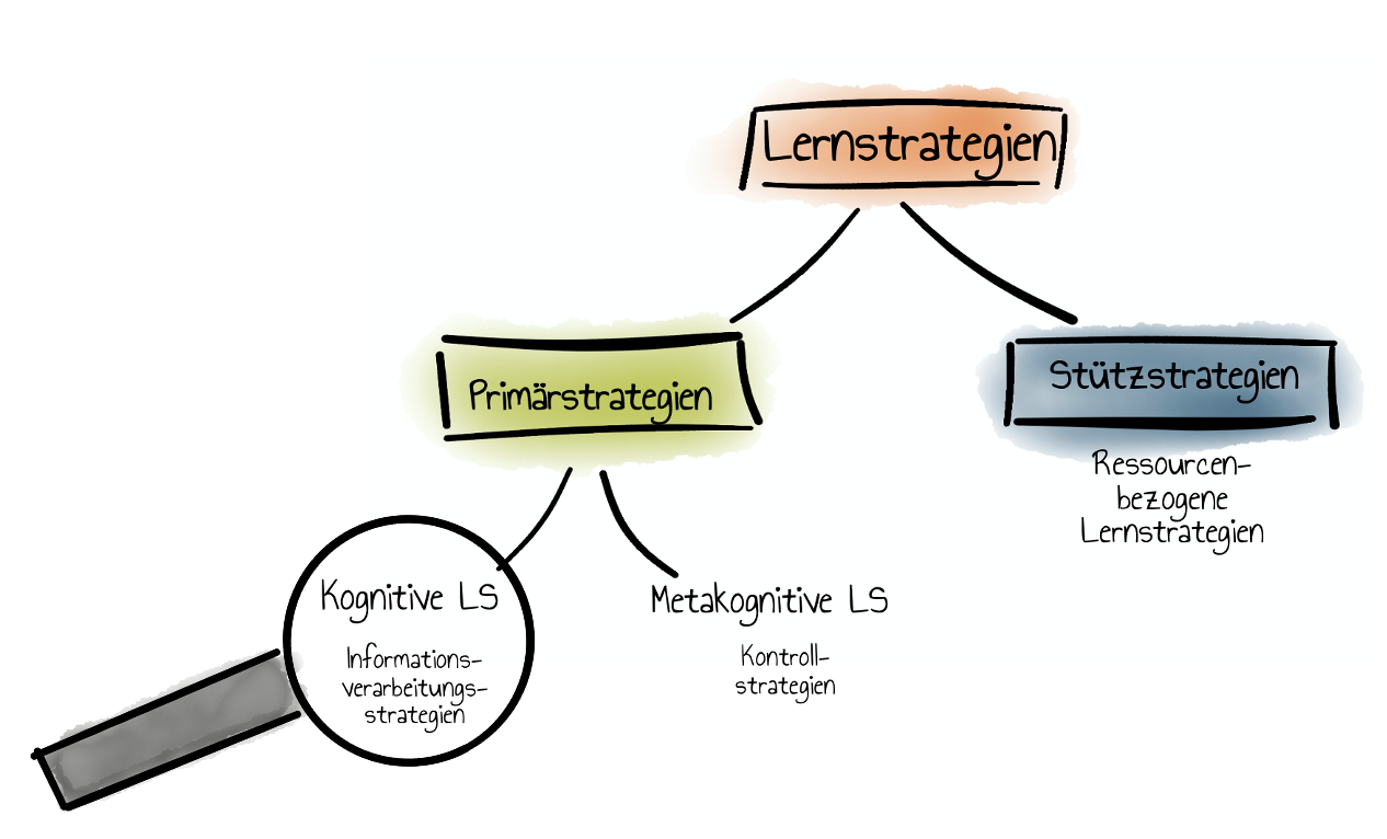 Taxonomie