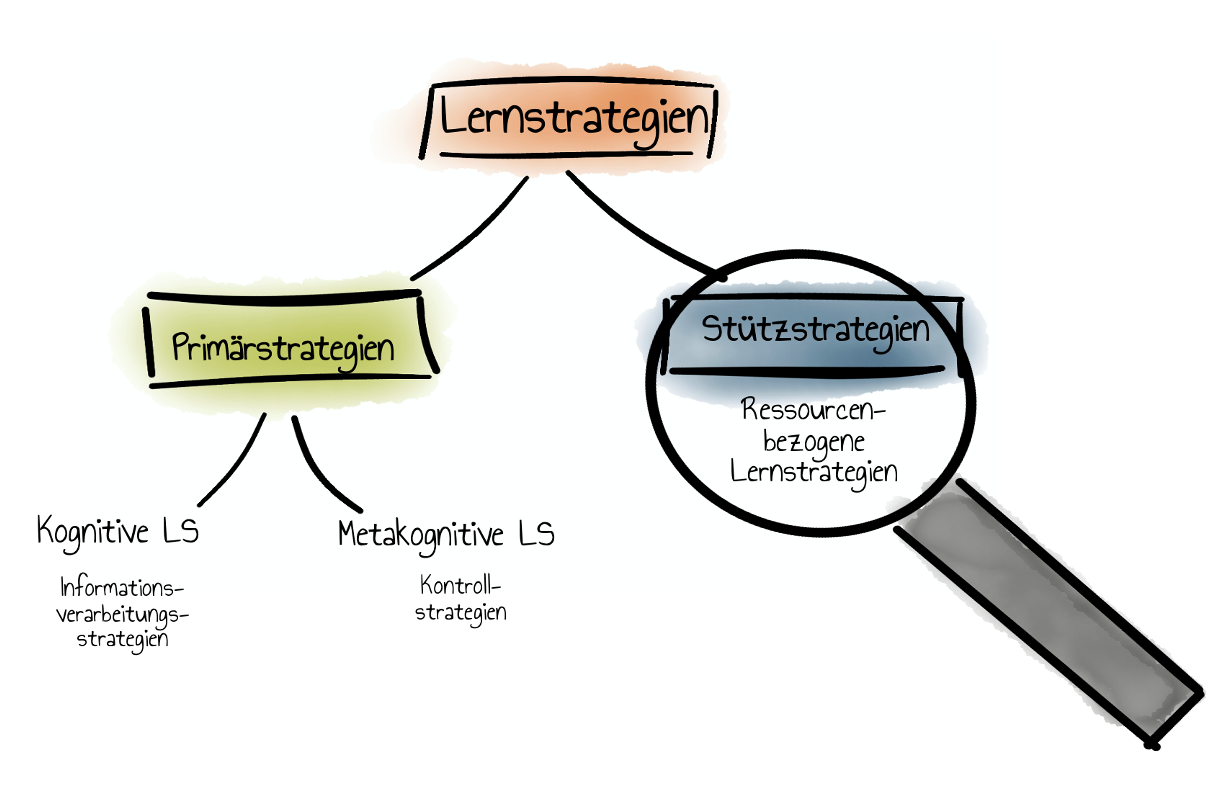 Taxonomie