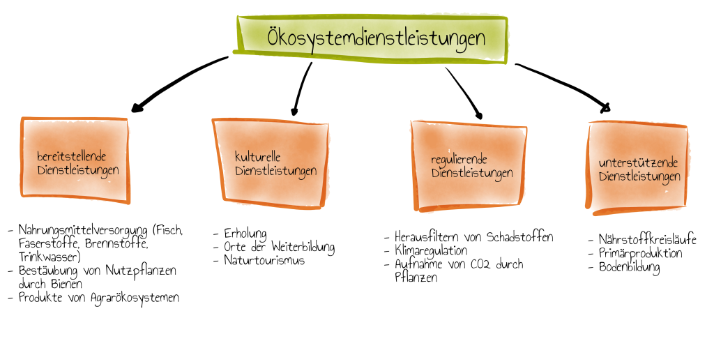 Öokosystemdienstleistungen