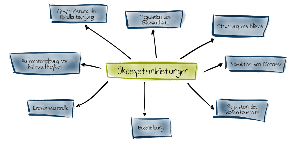 Okösystemleistungen